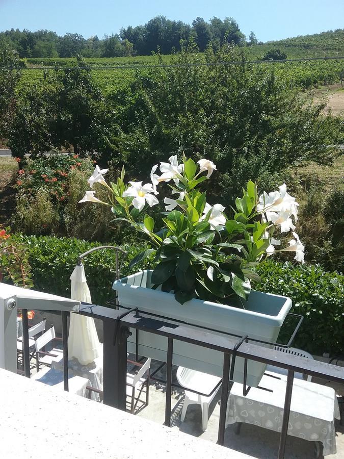 La Terrazza Del Barbaresco Bed & Breakfast Neviglie Exterior photo